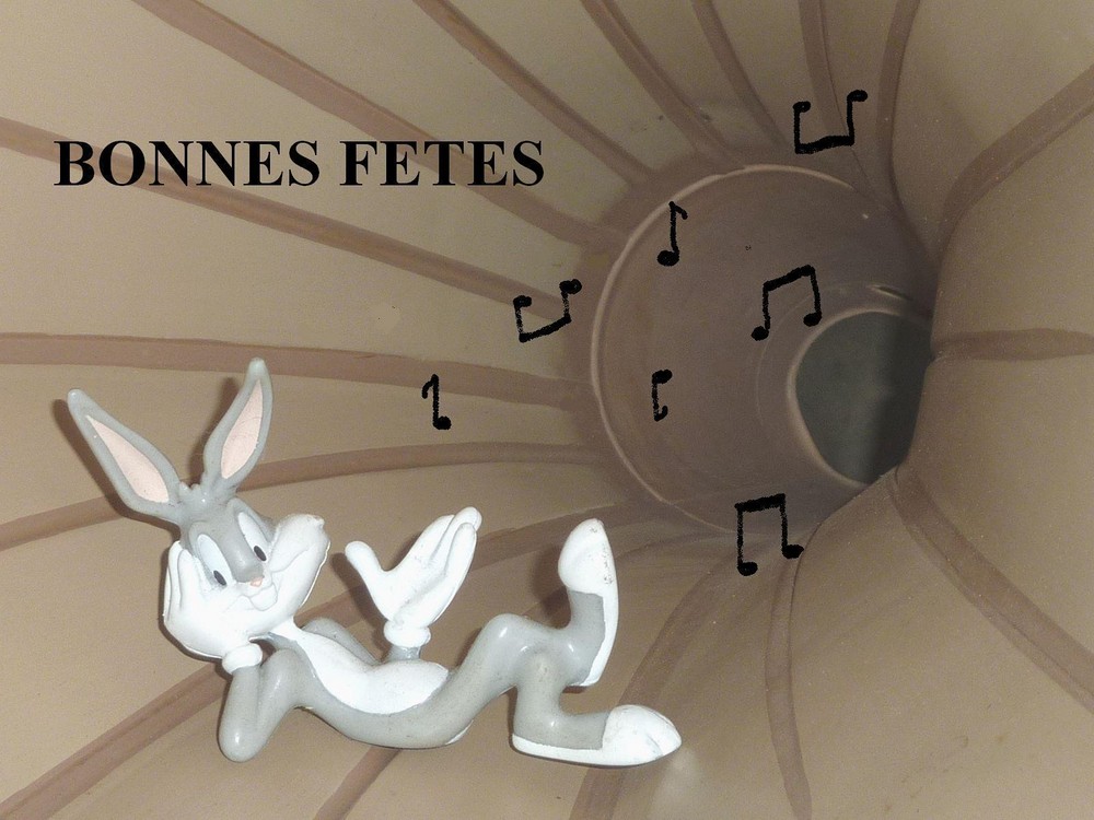 BONNES FETES  (R1).JPG
