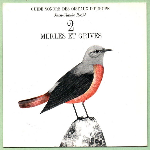 Merles et Grives. 45T N°2 Guide sonore des oiseaux d'Europe.   (R1).jpg