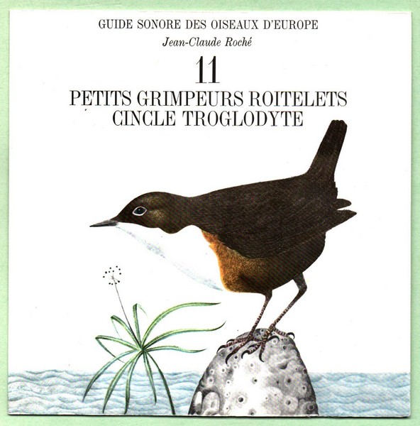 Petits grimpeurs. 45T N°11 Guide sonore des oiseaux d'Europe.   (R1).jpg